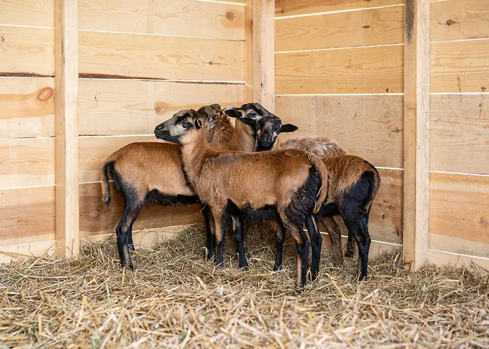 Krasowa Ostoya Chalet *