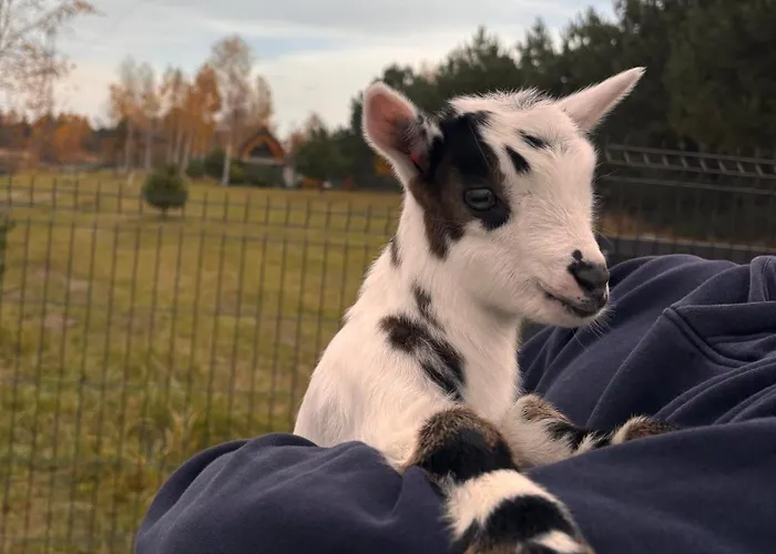 Krasowa Ostoya Horská chata *